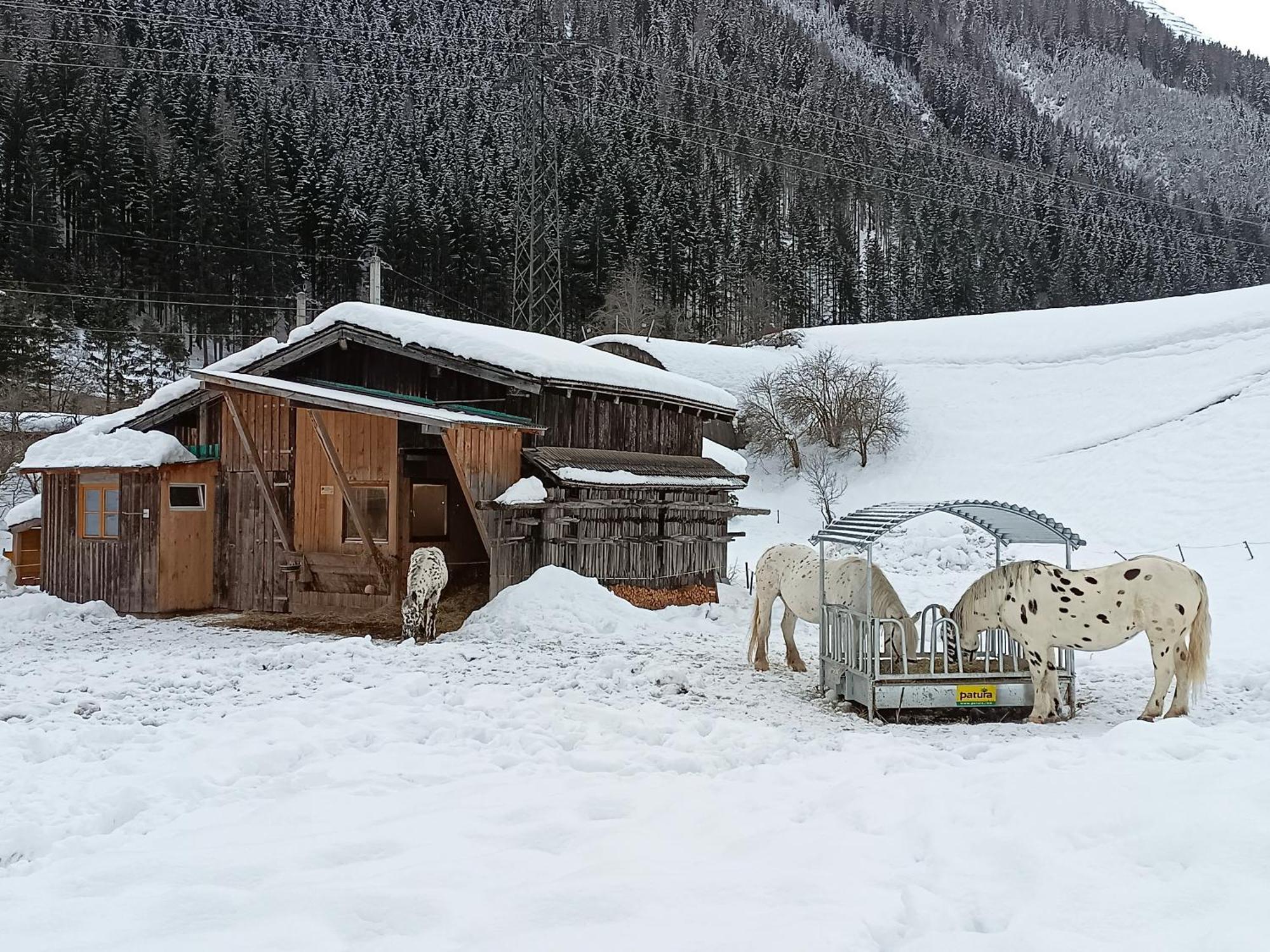 Burgerhof Βίλα Pettneu am Arlberg Εξωτερικό φωτογραφία